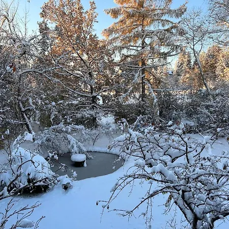 Garden View Apartment