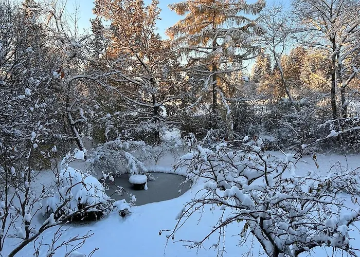 Apartment Mit Blick Auf Garten アパート