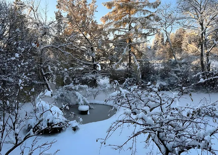 Mit Blick Auf Garten شقة